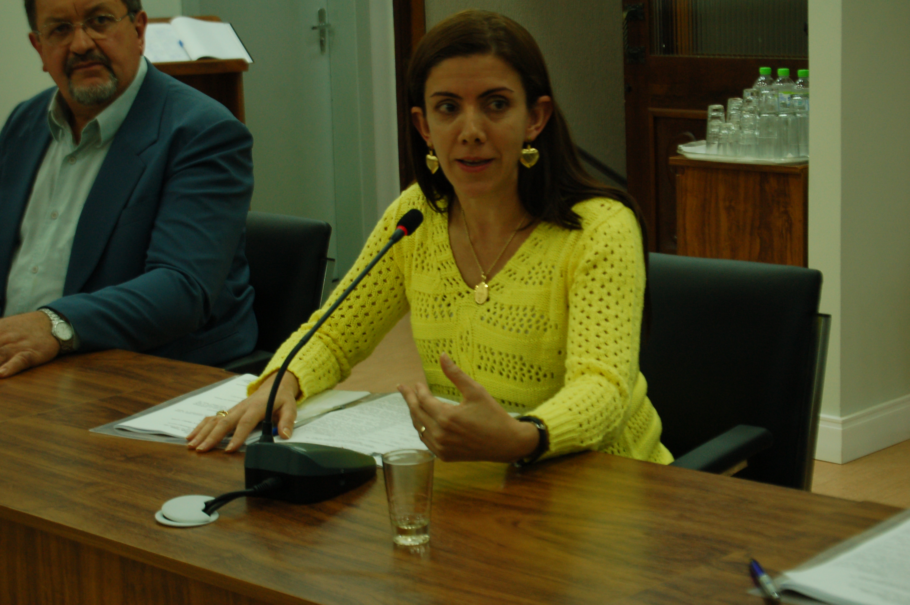 Vereadora Deliane sugere construção de quebra-molas na Rua Irmão Gabriel Leão